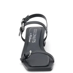 Matisse Sandals|Women's Coconuts By , Maya Sandal Black Lizard