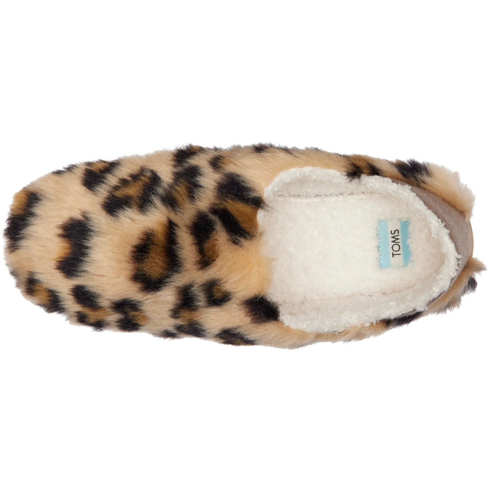 TOMS Slippers|Women's , Ezra Slipper Leopard